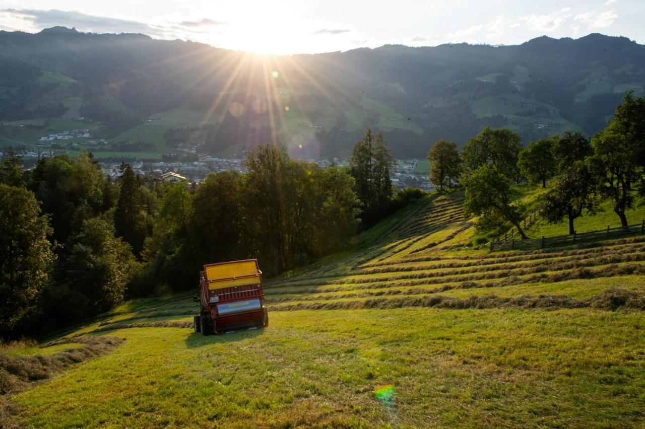 Appartements Lehenhof Sankt Johann im Pongau Extérieur photo